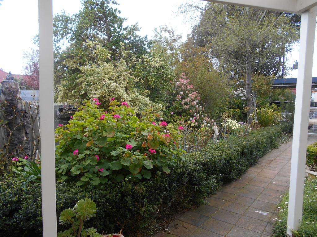 Travellers Rest B&B Penola Chambre photo